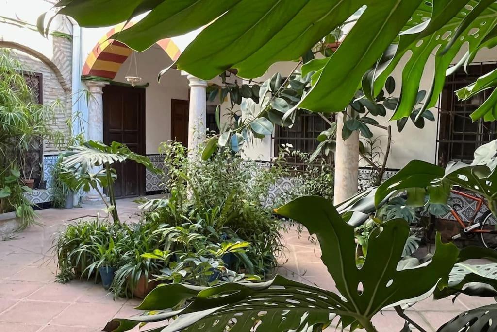 דירות קורדובה Patio De La Corredera מראה חיצוני תמונה