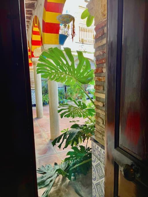 דירות קורדובה Patio De La Corredera מראה חיצוני תמונה